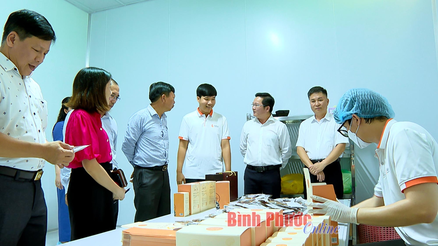 96221 tubon4508 mxf 08 43 34 20 14571828052025