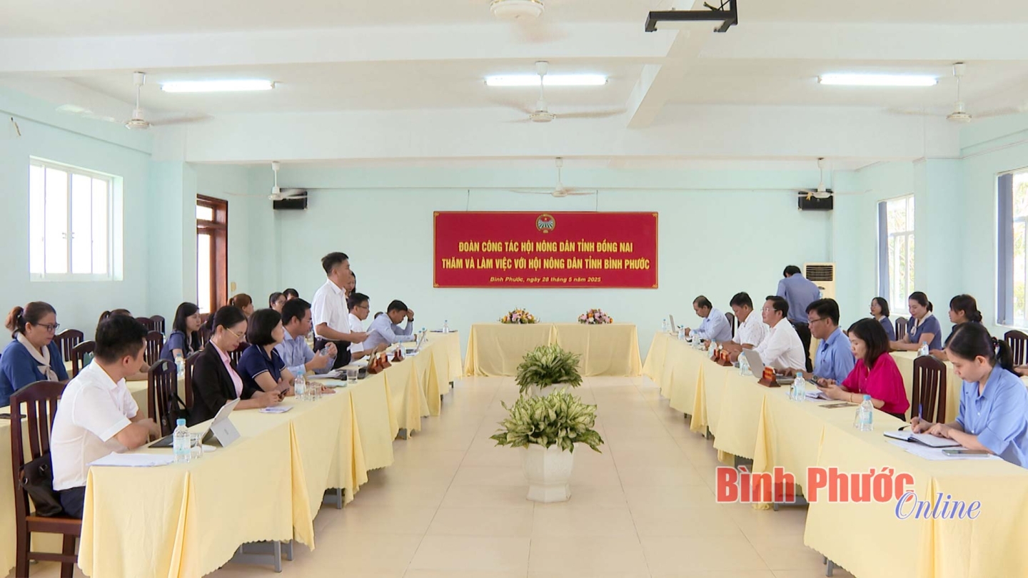 99bfab6f4e147d39e06d2eb1278d0883 15223028052025