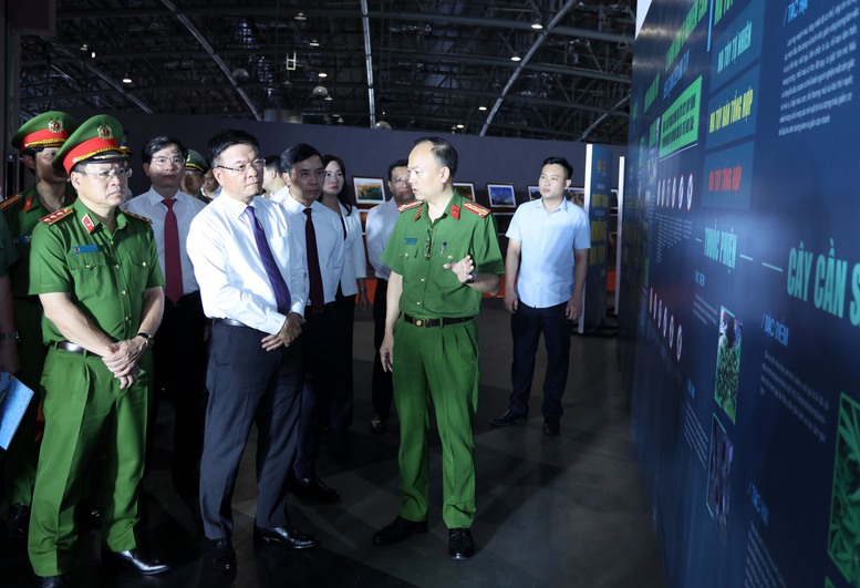 nghe gioi thieu ve cong tac phong chong ma tuy 17508265891301422386043