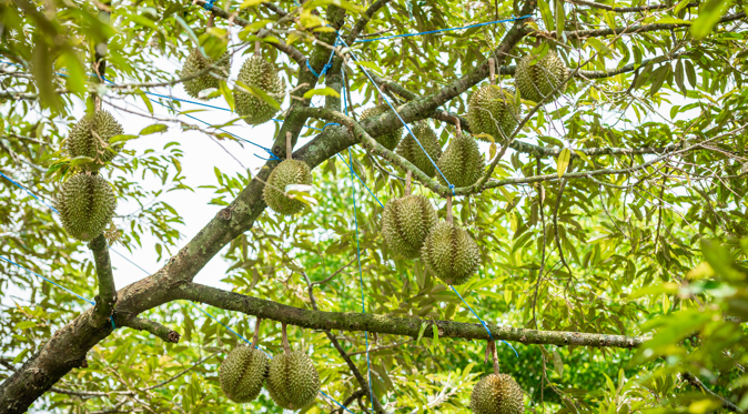 screenshot 1749954105