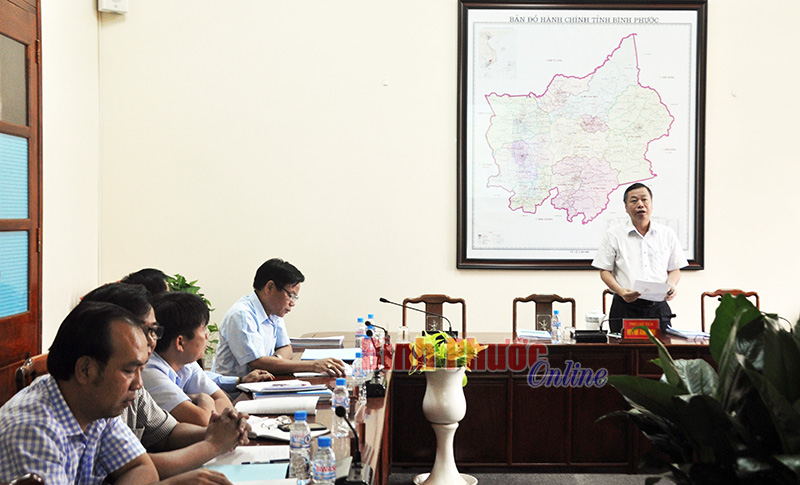Phó chủ tịch UBND tỉnh Huỳnh Anh Minh phát biểu kết luận buổi làm việc
