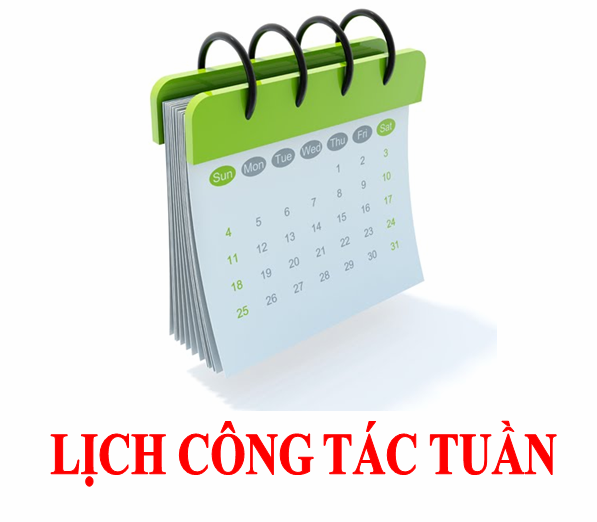 Lịch công tác Lãnh đạo Sở Xây dựng tuần 45/2024