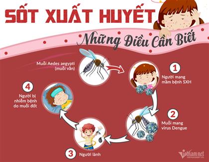 Tăng cường công tác điều trị sốt xuất huyết Dengue